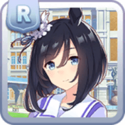 エイシンフラッシュ エイシンフラッシュ